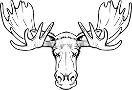 Moose Head Front Facing Moose Tattoo Moose Skull Moose Easy drawing tutorials for beginners, learn how to draw animals, cartoons, people and comics. moose head front facing moose