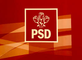 Partidele intră în linie dreaptă pentru alegerile europarlamentare. Psd A Prezentat Lista Pentru Alegerile Europarlamentare Rovana Plumb È™i Carmen Avram Deschid Lista Euractiv