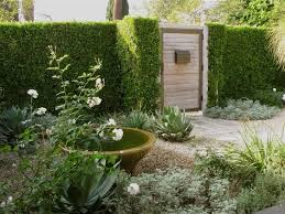 La Confidential A Private Courtyard Garden Goes Luxe On A Budget Gardenista Water Features In The Garden Courtyard Garden Garden Design