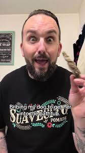 Super sleuth mystery solver. ##bennyblanco_thefrenchie##frogfacefrench...