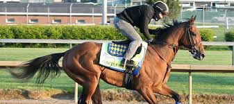Previewing the 2021 preakness stakes. Vogsqfrevkzrum