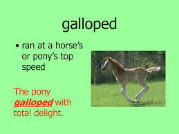 There are related clues (shown below). Leah S Pony Vocabulary Ppt Download