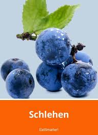 Schlehen In 2020 Schlehen Nahrwert Obst