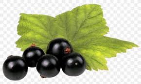 Discover bbc good food's favourite seasonal blackcurrant recipes and create delicious treats, including cordials, summer puddings, pies and jams. Zante Currant Blackcurrant Fruit Png 850x512px Zante Currant Berry Bilberry Blackberry Blackcurrant Download Free