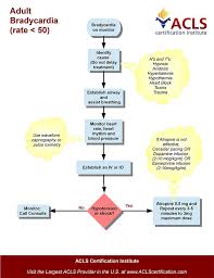 Pin On Nursing 101