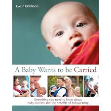 Babywearing: Blois, Mary: 9780972958332: Amazon.com: Books