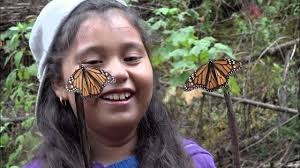 Sustainability Series: SONIC SEA, PANGOLIN, & MONARCH: THE MILKWEED MISSION 