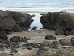 Experience Those Lowest Tides This Week They Don T Return Now Until July 3 Yachatsnews Com