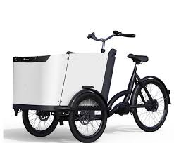 Cargo Deluxe Der Cargo Deluxe Ist Das Luxurioseste Modell In Seiner Klasse Und Speziell Fur Umweltbewusste Familienmenschen Ge Sicherheitsgurt E Bike Reparatur