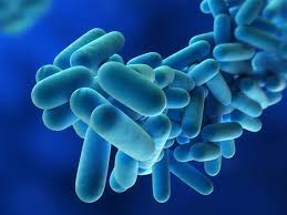Most people catch legionnaires' disease by inhaling the bacteria from water or soil. Ashrae Resources Can Help Reduce The Risk Of Legionella 2019 08 02 Phcppros