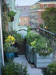 Beautiful Plants Balcony Design Ideas Frugal Living Windowsill Garden Balcony Plants Balcony Garden