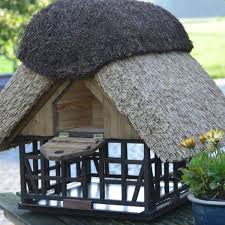 Zaunkonig Kuestenhaeuschen De Reetdach Haus Dach