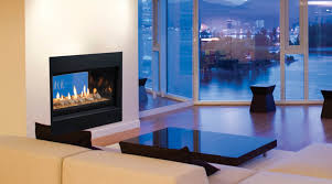 Puraflame 26 inches western electric fireplace insert. Echelon See Thru Direct Vent Gas Fireplace By Majestic Products