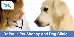 Welcome to pet care hospital. Pet And Pet Care Nashik Adseed India Nashik Clasified Nashik Advertisements Nashik Classifieds Nashik Properties Nashik Real Estate And More