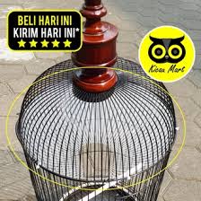 Jenis kandang ternak lovebird 1. Jual Produk Plafon Sangkar Lovebird Termurah Dan Terlengkap Juli 2021 Bukalapak