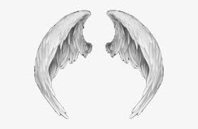Ali D Angelo Png Anime Angel Wings Png 539x457 Png Download Pngkit Archangel wing, angel wing, white angel wings, wings, sticker png. ali d angelo png anime angel wings