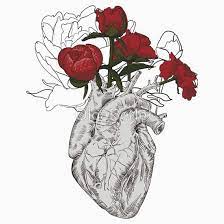 Small anatomical heart with flowers drawing. Pin On Art