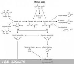 Would This Mechanism For Malic Acid Isomerization To Fumaric Acid Be Valid  If Done In Hcl : R/Chemhelp