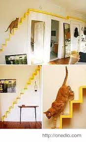 diy cat house ideas for indoor outdoor for all cat lovers cat animals cat p stan goodwin 381 diy cat evcil hayvan yataklari kedi agaclari kedi evi