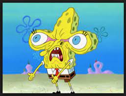 Check spelling or type a new query. Funk Spongebob Meme Wallpaper