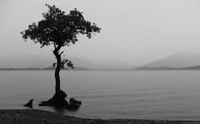 Maybe you would like to learn more about one of these? The Art Of Black And White Photography Msource