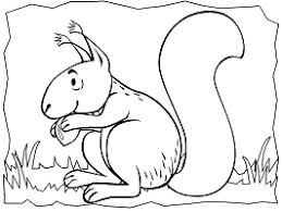The spruce / evan polenghi these turkey coloring pages will get all the kids excited. Animals Coloring Pages For Toddlers Preschool And Kindergarten