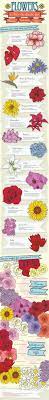 The Best Infographics On The Web Infographicsonly Com Flower Meanings Simple Flowers Trendy Flowers