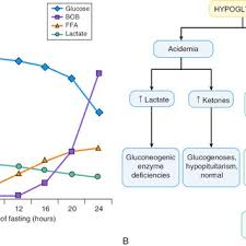 Increments in glucagon) and hypoglycemia unawareness (by reducing sympathoadrenal and the resulting it is nice to hear others observations of using a ketogenic diet for t!dm. Pdf Pathophysiology Of Neonatal Hypoglycemia