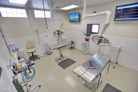 All Valley Animal Care Center Pet Wellness Pet Boarding Emergency Care