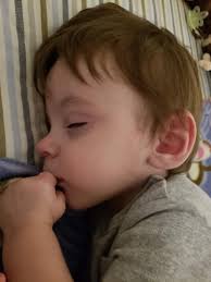 Obituary for Michael "Monkey" Lee Hollenbeck