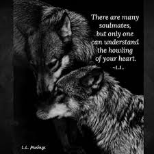 Wolf Quotes There Are Many Soulmates But Only One Can Understand The Howling Of Your Heart Lone Wolf Quotes Wolf Quotes Warrior Quotes