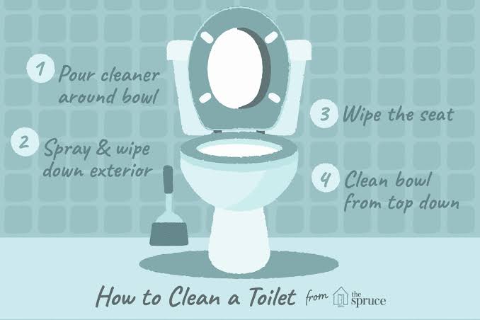 How to Clean a Toilet the Right Way in 6 Steps