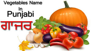 Learn Vegetable Names In Punjabi Pronunciation Of Vowels Matra Learn The Language For Beginner