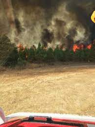 Plusieurs dizaines d'hectares ont brûlé dans le secteur du pignada de la forêt de chiberta, a indiqué à l'afp le maire claude olive. Feux De Foret Feu En Cours A Salles 33 Deja Plus De Facebook