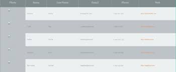 As you can see, creating a responsive table is not very hard when you have small number of columns in your table. Responsive Tables With Css Html Or Wordpress Wpdatatables Tables And Charts Wordpress Plugin