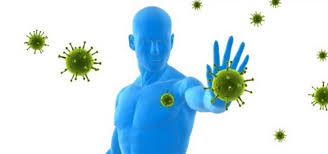 Perlindungan tubuh yang pertama dari serangan mikroba dan virus adalah…. Sistem Imunitas Manusia Specialty Quiz Quizizz