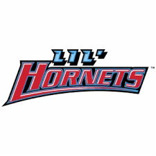 No unit, department or other csu entity may create its own logo. Hornets Logo Png Delaware State Hornets Logo Png Transparent Delaware State University 128897 Vippng