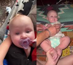 Harmonymoraecampbell