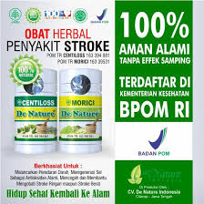 Stroke diklasifikasikan menjadi dua : Obat Stroke Ringan Tangan Sebelah Kiri Kanan Gejala Lumpuh Penyakit Stroke Garansi Original Shopee Indonesia