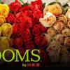 Midland, tx local florist providing everyday gifts & flowers send the most popular flowers and gifts to the ones you love most. Https Encrypted Tbn0 Gstatic Com Images Q Tbn And9gcs7di62k4 5jj5ncbyv4mqa6jl47lurptzimzjy3q5lgfuopfr Usqp Cau