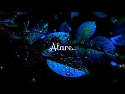 Be kuduro de branco grito do cao. Alare Nee Ennile Song Lyrics Member Rameshan 9am Ward Nilamazha Download As Mp3 File For Free