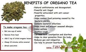 Benefits Of Oregano Tea Oregano Tea Benefits Natural Antihistamine Tea Health Benefits