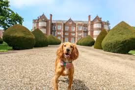 Dog Friendly East Yorkshire: Burton Agnes Hall and walks, Bridlington