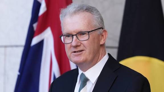 Former officials warn Labor's unfinished plans to reduce migration laced with risk - ABC News