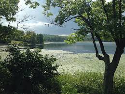 Lake taghkanic state park, nestled next to lake taghkanic in the rolling hills and lush forests of columbia county, offers a wonderful variety of recreational activities. Lake Taghkanic State Park Ancram Aktuelle 2021 Lohnt Es Sich Mit Fotos