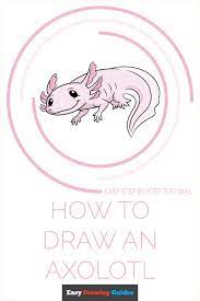 They are easy to care for and make enjoyable pets. How To Draw An Axolotl Really Easy Drawing Tutorial
