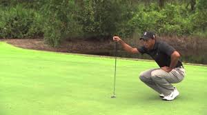 Tiger Woods Putting Stroke Tip Flexibility Training Program Flexibility Training Golf Performance
