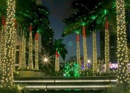 Maybe you would like to learn more about one of these? Miami Christmas Lights Christmas Lights Outside Christmas Lights Xmas Lights