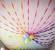 Backdrop Crepe Paper Streamers Decorating Ideas