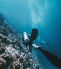 Today S Diver